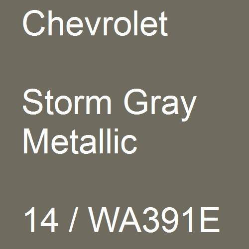 Chevrolet, Storm Gray Metallic, 14 / WA391E.